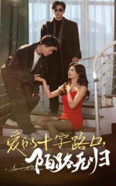 短剧《爱的十字路口陌路无归（35集全）张北淅&----程美华》完整版高清免费观看