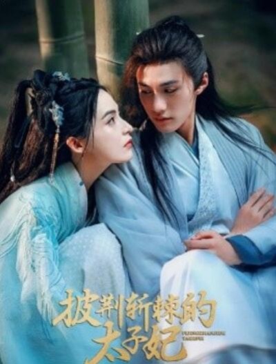 短剧《披荆斩棘的太子妃（80集全）杨鹏丞＆沈芝弈》完整版高清免费观看